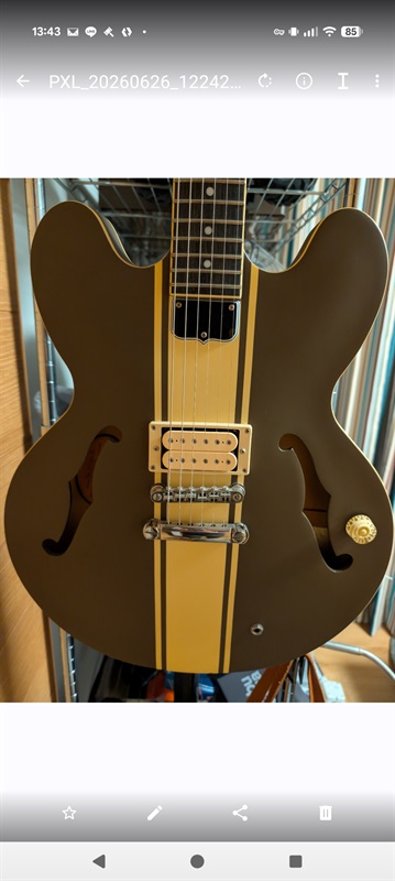 Epiphone Tom Delonge ES-333の画像